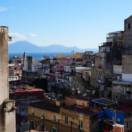 Oivita By Lugani Collection 4*