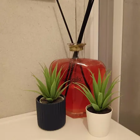 Oivita By Lugani Collection ナポリ